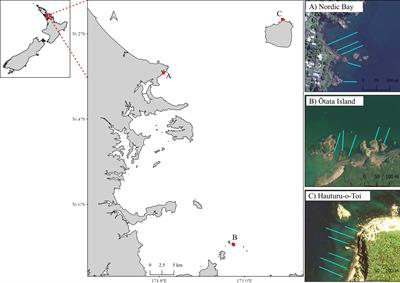 Diver-generated photomosaics as a tool for monitoring temperate rocky reef ecosystems